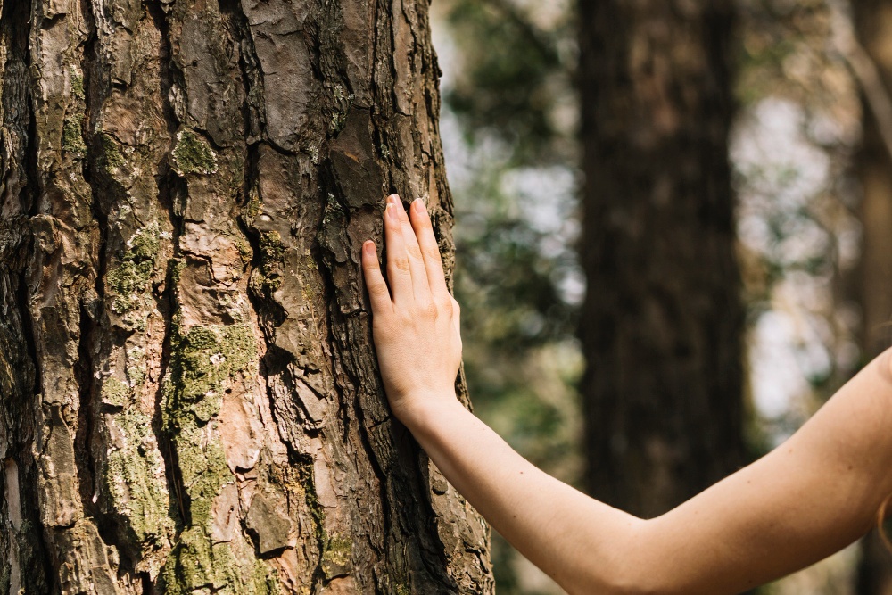 touching wood