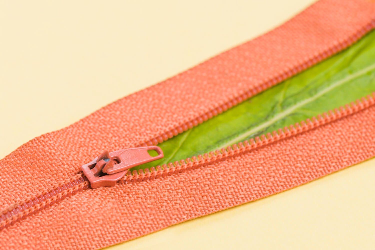 The History of the Zipper: How a Simple Invention Changed the Way We Dress